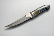 zgm 26 aculeus 5-2024 0434